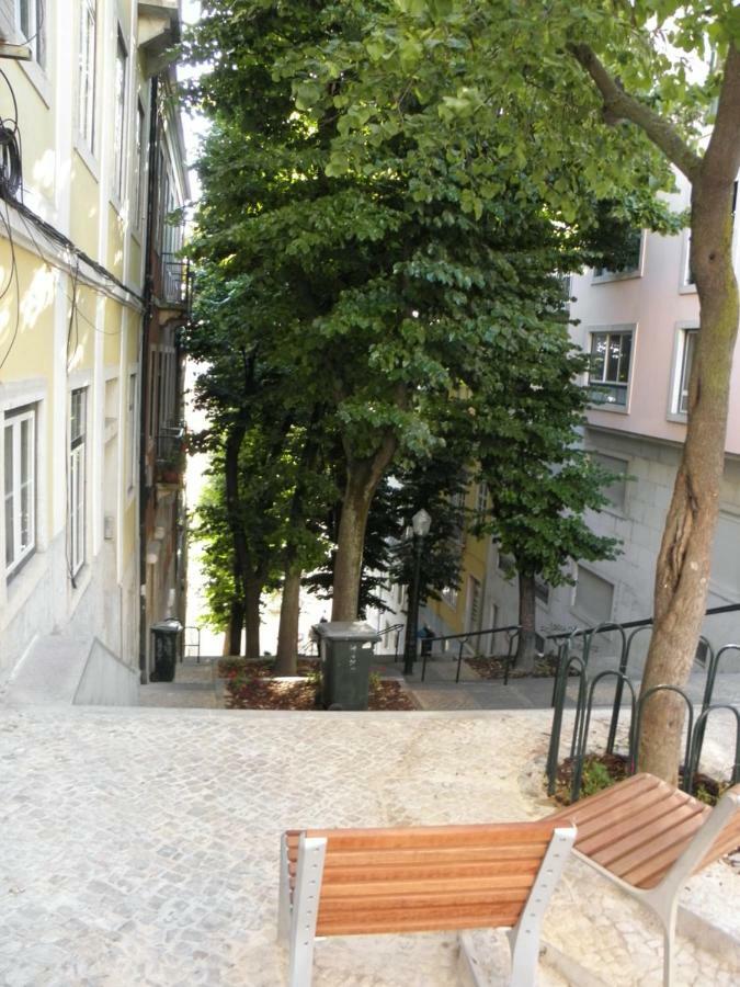 Sunny Orange Garden Apartment In Central Lisboa المظهر الخارجي الصورة