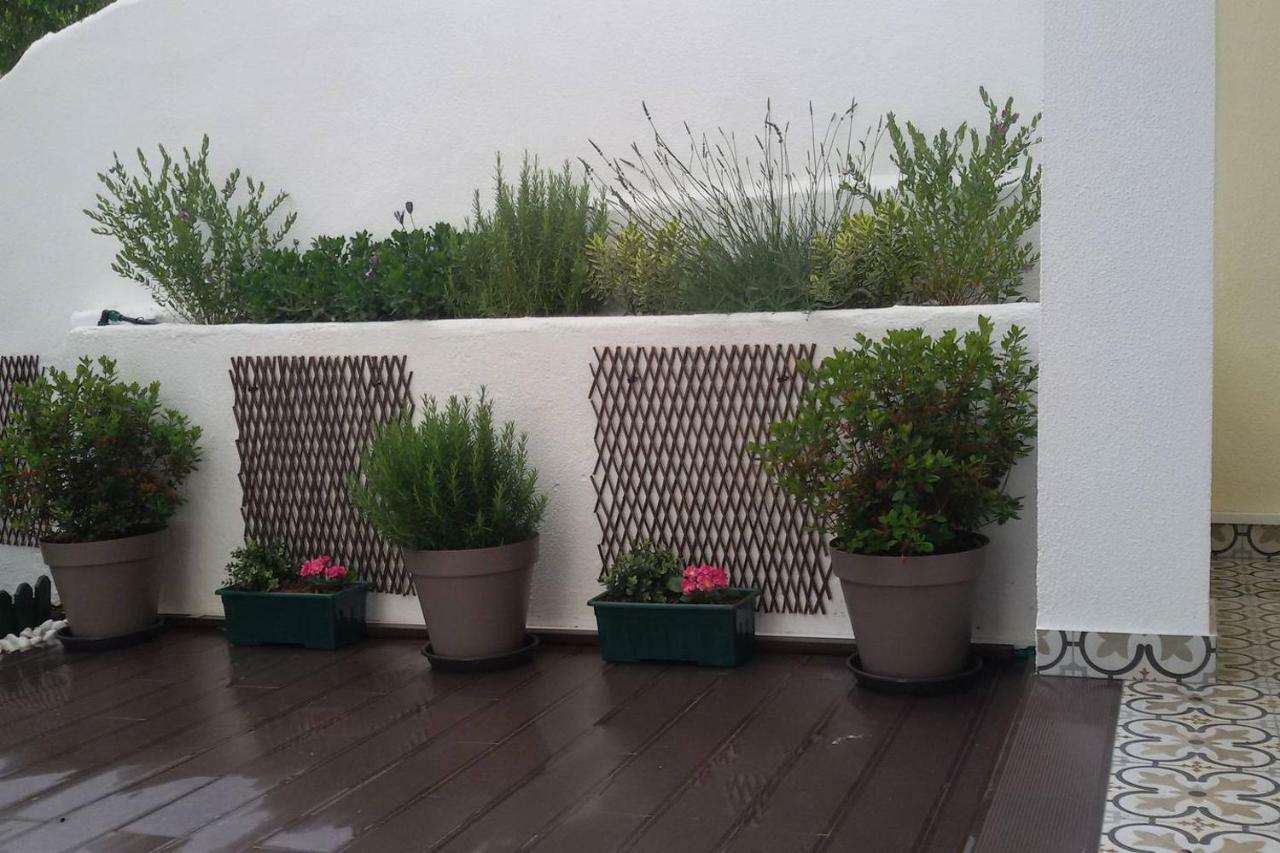 Sunny Orange Garden Apartment In Central Lisboa المظهر الخارجي الصورة