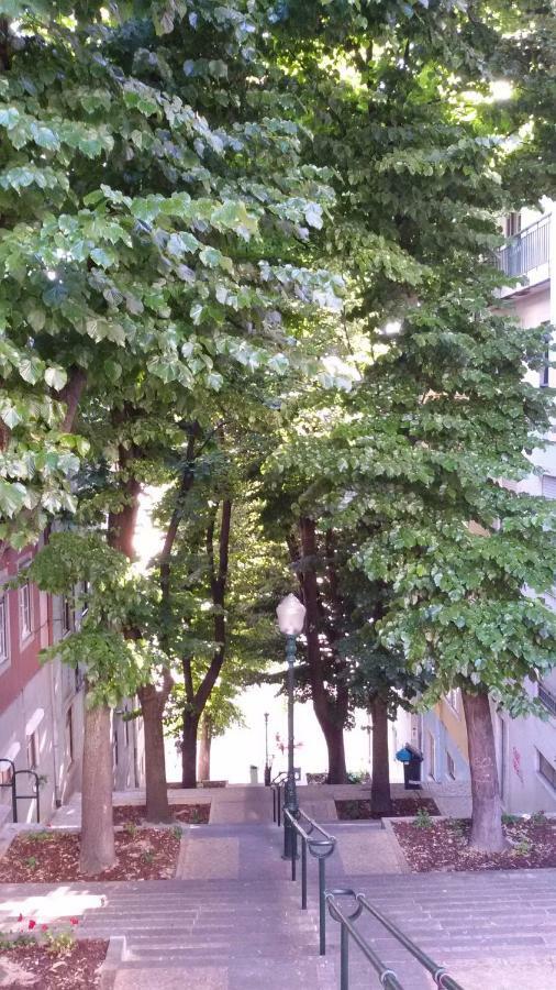 Sunny Orange Garden Apartment In Central Lisboa المظهر الخارجي الصورة