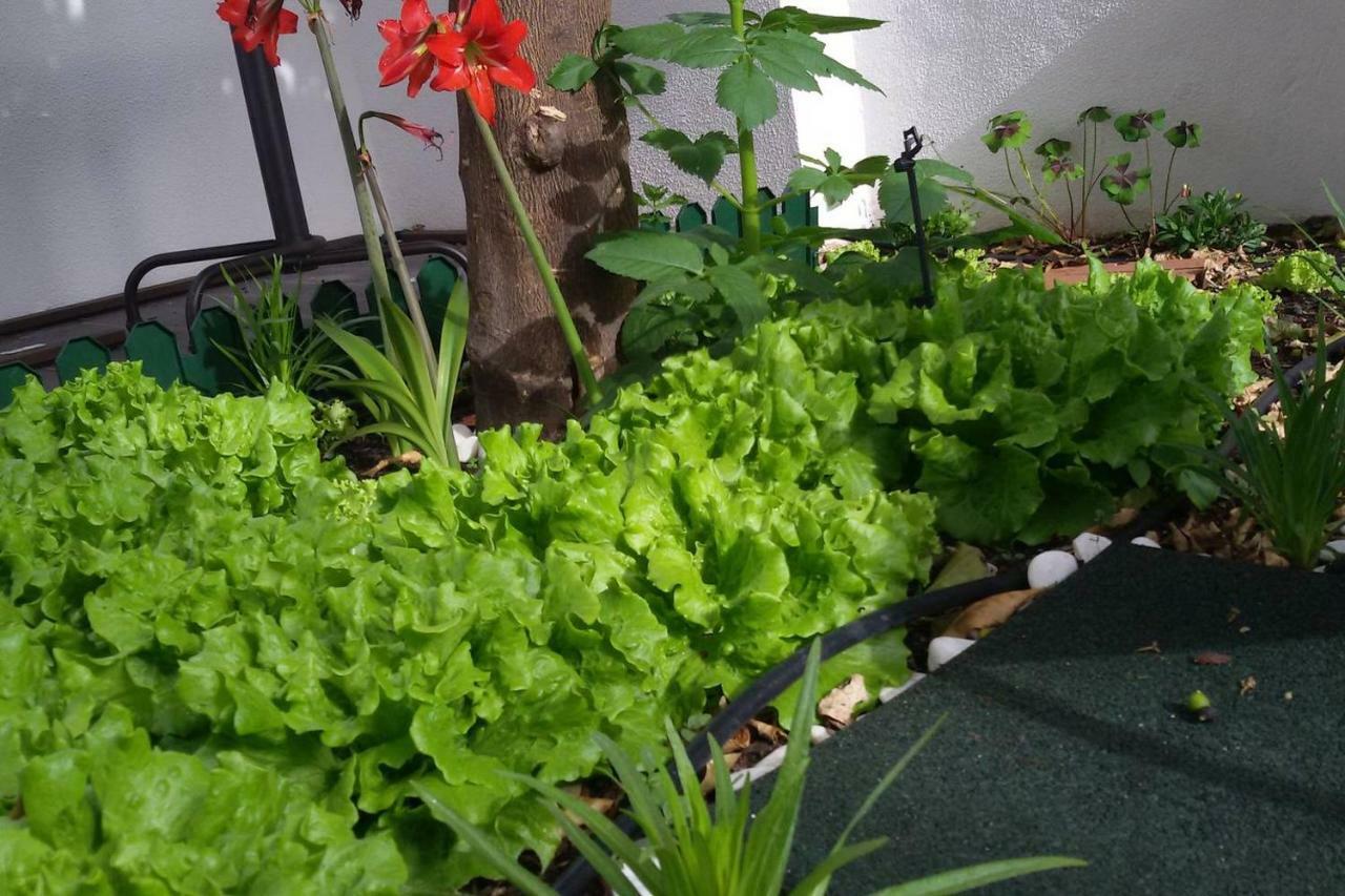Sunny Orange Garden Apartment In Central Lisboa المظهر الخارجي الصورة