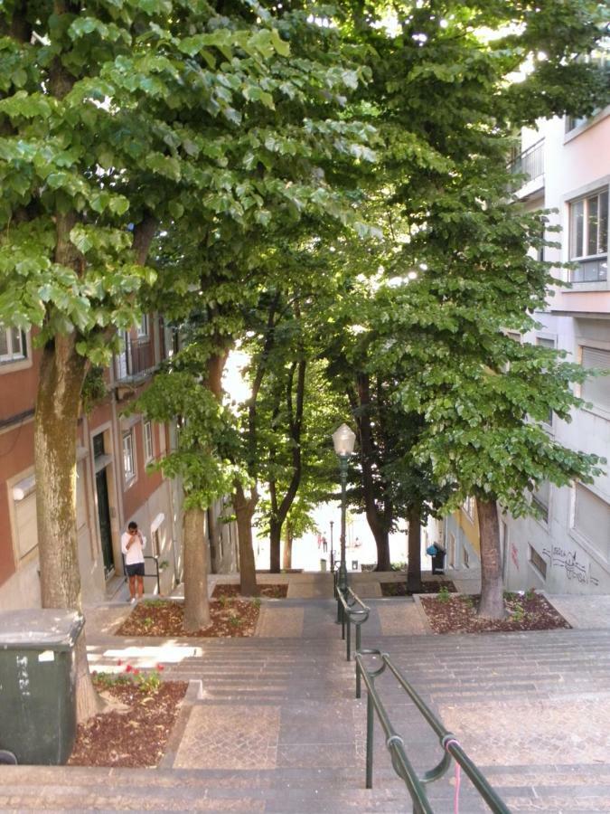 Sunny Orange Garden Apartment In Central Lisboa المظهر الخارجي الصورة